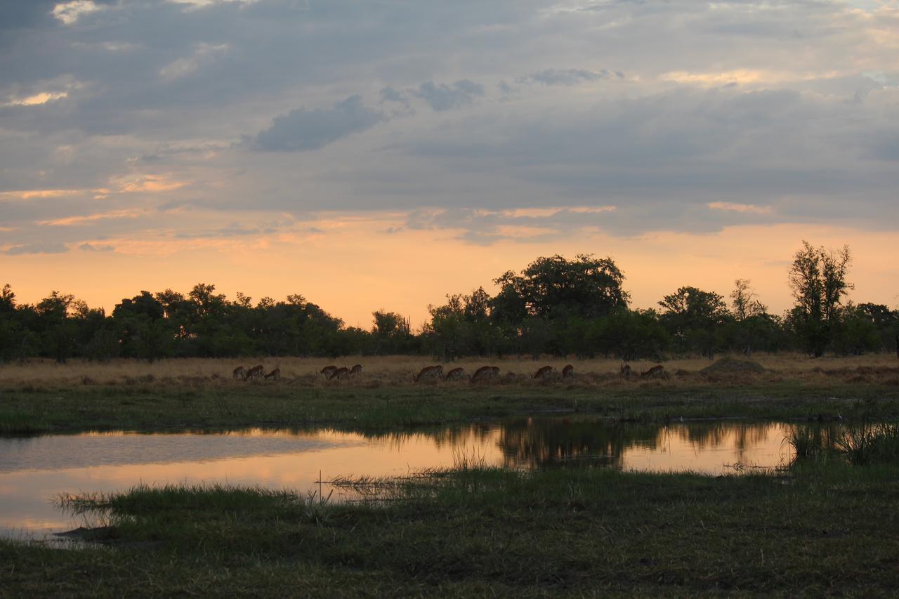 Cresta Maun Hotel Exteriér fotografie